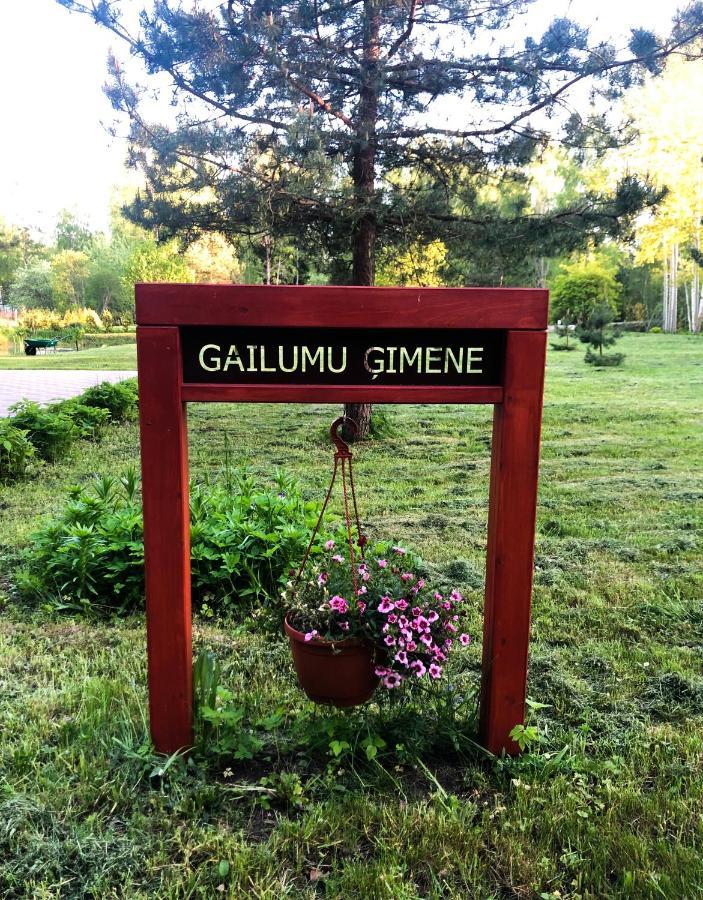 Будинок відпочинку Gailumufamily House